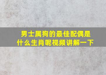 男士属狗的最佳配偶是什么生肖呢视频讲解一下