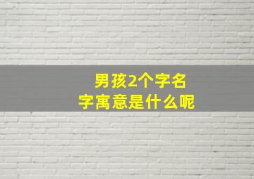 男孩2个字名字寓意是什么呢