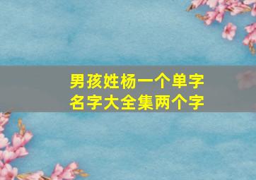 男孩姓杨一个单字名字大全集两个字