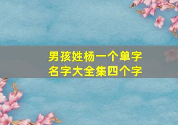 男孩姓杨一个单字名字大全集四个字