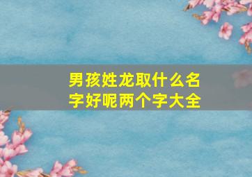 男孩姓龙取什么名字好呢两个字大全