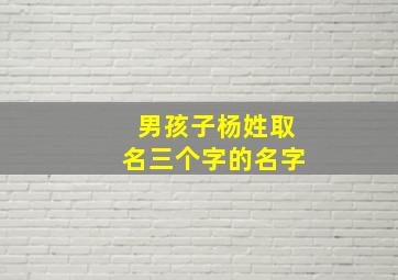 男孩子杨姓取名三个字的名字