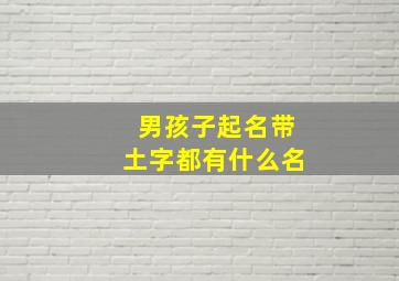 男孩子起名带土字都有什么名