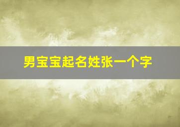 男宝宝起名姓张一个字