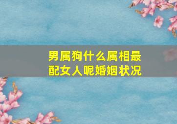 男属狗什么属相最配女人呢婚姻状况