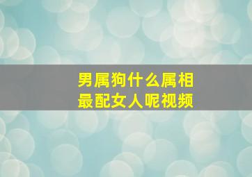 男属狗什么属相最配女人呢视频