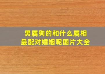 男属狗的和什么属相最配对婚姻呢图片大全