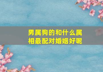 男属狗的和什么属相最配对婚姻好呢