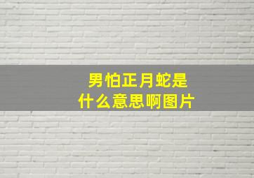 男怕正月蛇是什么意思啊图片