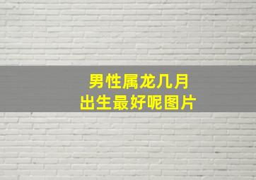 男性属龙几月出生最好呢图片