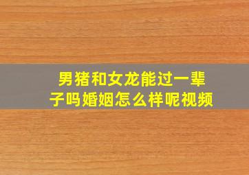 男猪和女龙能过一辈子吗婚姻怎么样呢视频