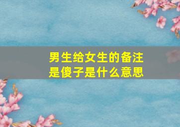 男生给女生的备注是傻子是什么意思