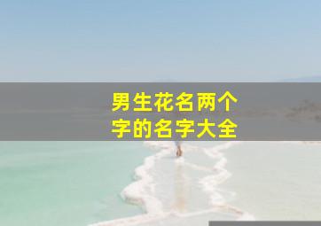 男生花名两个字的名字大全