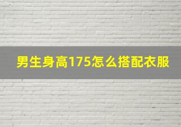 男生身高175怎么搭配衣服