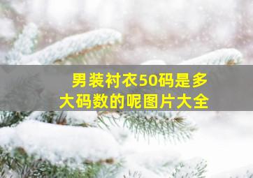 男装衬衣50码是多大码数的呢图片大全