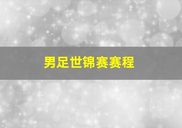 男足世锦赛赛程