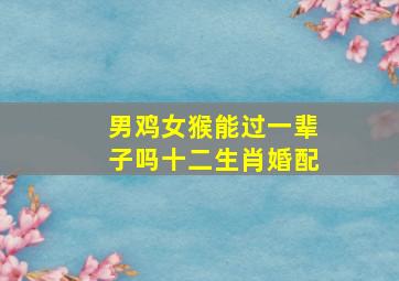 男鸡女猴能过一辈子吗十二生肖婚配