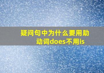 疑问句中为什么要用助动词does不用is