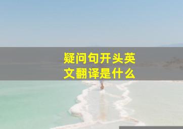 疑问句开头英文翻译是什么