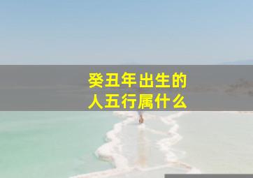 癸丑年出生的人五行属什么