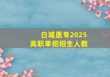 白城医专2025高职单招招生人数