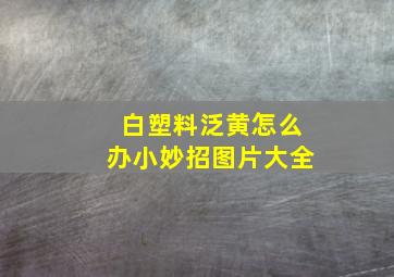 白塑料泛黄怎么办小妙招图片大全