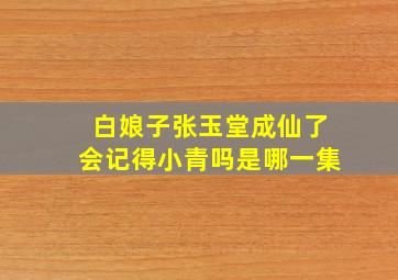 白娘子张玉堂成仙了会记得小青吗是哪一集