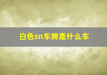 白色sn车牌是什么车