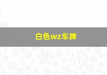 白色wz车牌