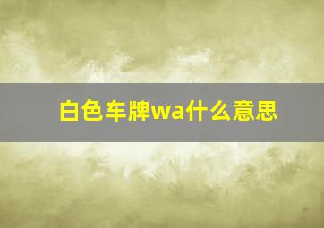 白色车牌wa什么意思