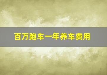 百万跑车一年养车费用