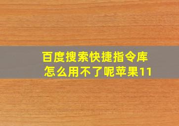 百度搜索快捷指令库怎么用不了呢苹果11