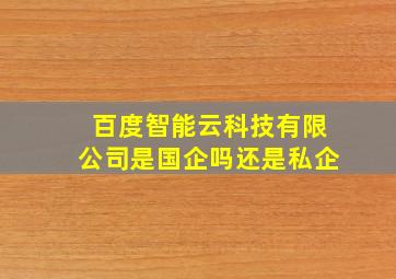 百度智能云科技有限公司是国企吗还是私企