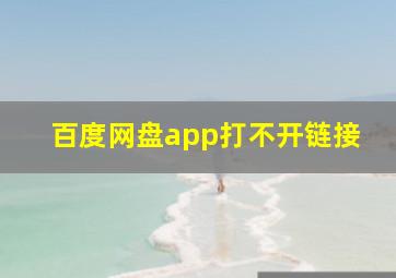 百度网盘app打不开链接