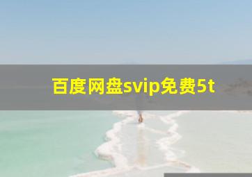 百度网盘svip免费5t