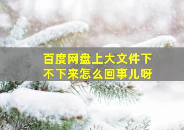 百度网盘上大文件下不下来怎么回事儿呀