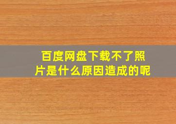 百度网盘下载不了照片是什么原因造成的呢