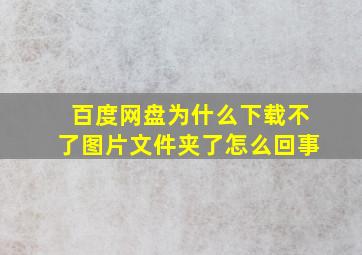 百度网盘为什么下载不了图片文件夹了怎么回事