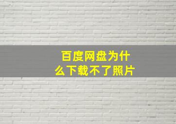 百度网盘为什么下载不了照片