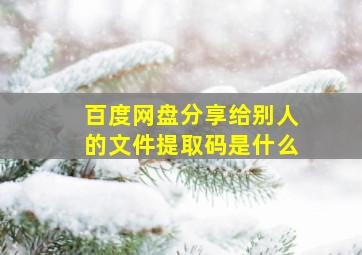 百度网盘分享给别人的文件提取码是什么