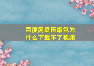 百度网盘压缩包为什么下载不了视频