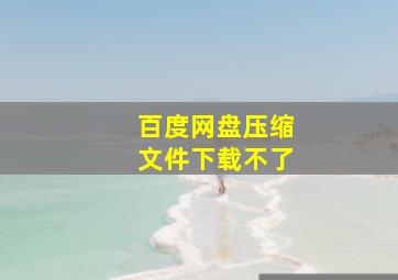 百度网盘压缩文件下载不了