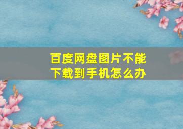 百度网盘图片不能下载到手机怎么办