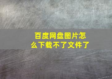 百度网盘图片怎么下载不了文件了