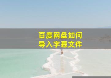 百度网盘如何导入字幕文件