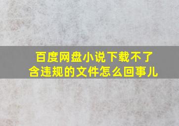 百度网盘小说下载不了含违规的文件怎么回事儿