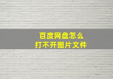 百度网盘怎么打不开图片文件