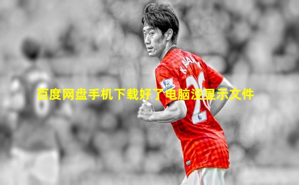百度网盘手机下载好了电脑没显示文件