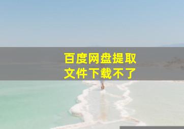 百度网盘提取文件下载不了