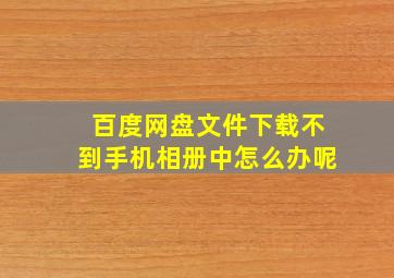 百度网盘文件下载不到手机相册中怎么办呢